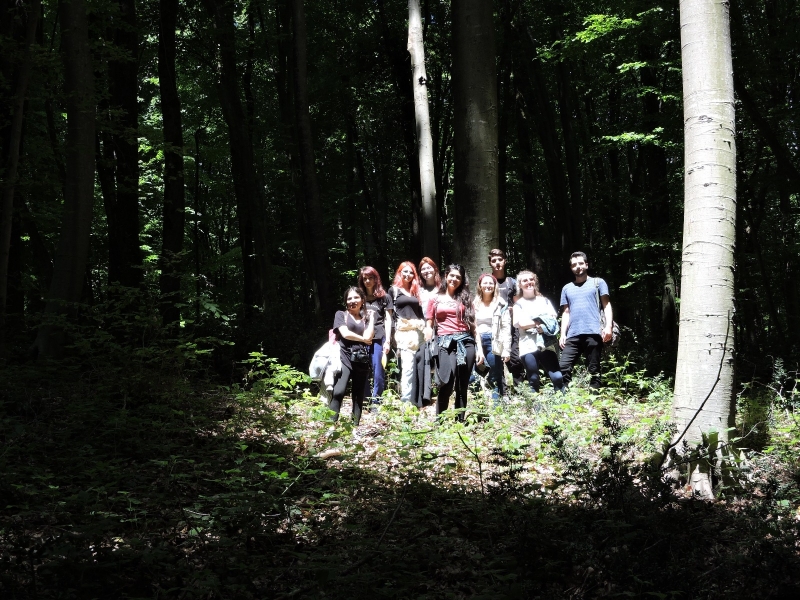 Avangart Kulübü-Atatürk Arboretumu Fotoğraf Ve Eskiz Günü Avangart Kulübü