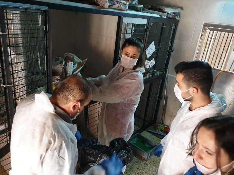 Üsküdar Belediyesi Barınak Gezisi