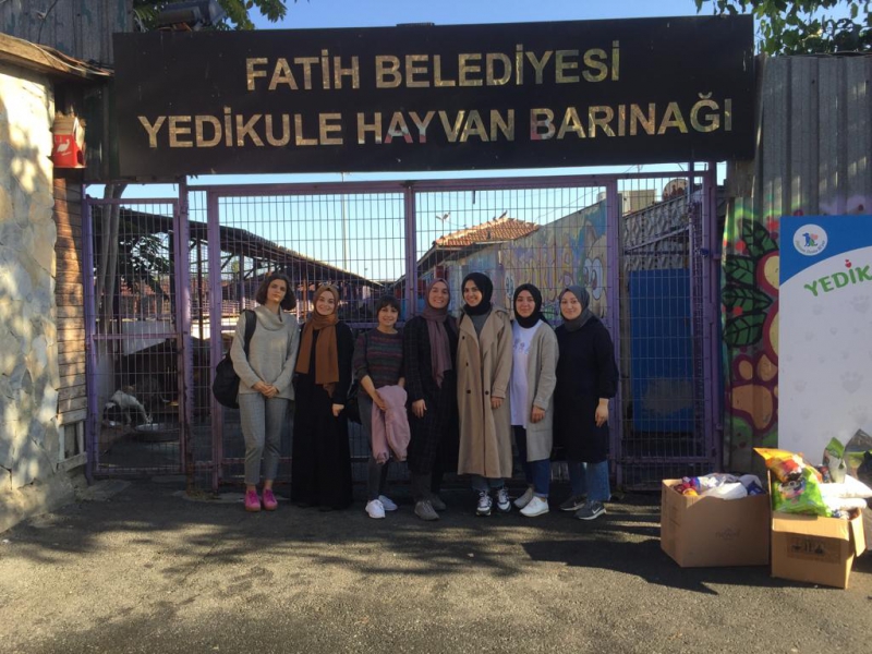 Barınak Ziyareti