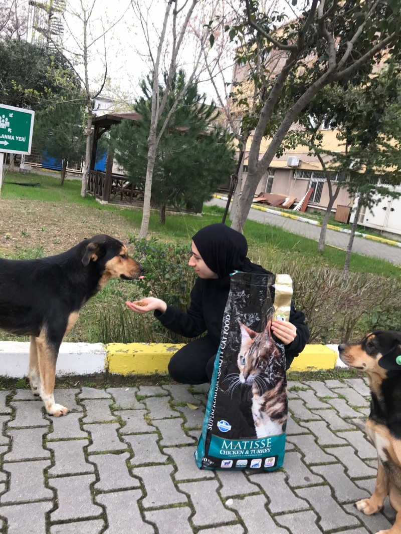Marmara İşletme Kulubü-Kampüsteki Dostlarımız Marmara İşletme Kulubü