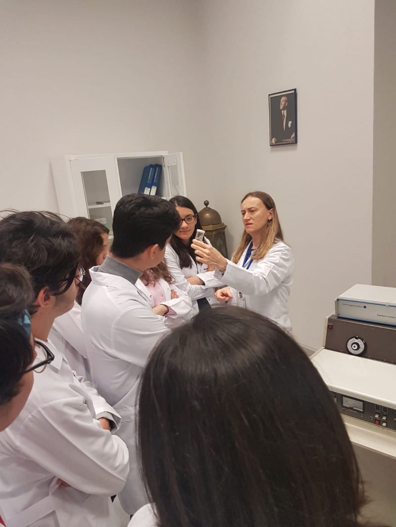 Marmara Üniversitesi Türk Tıp Öğrencileri Birliği Kulübü-Elektron Mikroskop Workshop Marmara Üniversitesi Türk Tıp Öğrencileri Birliği Kulübü