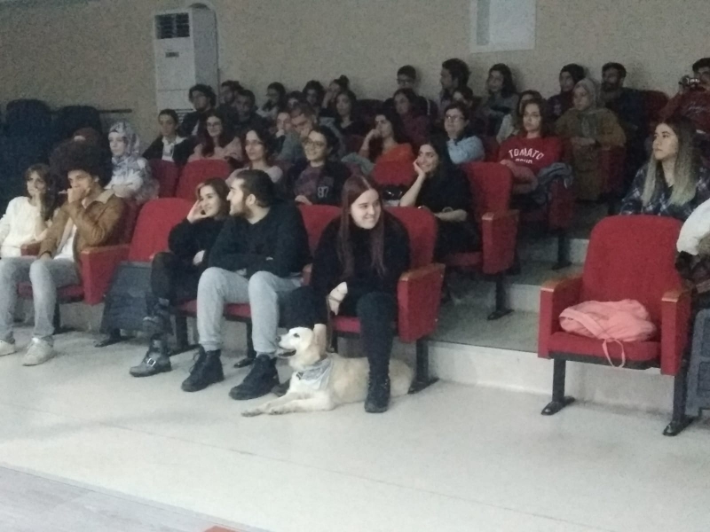 Demet Hayran Ve Can Dostları Stand-up Show