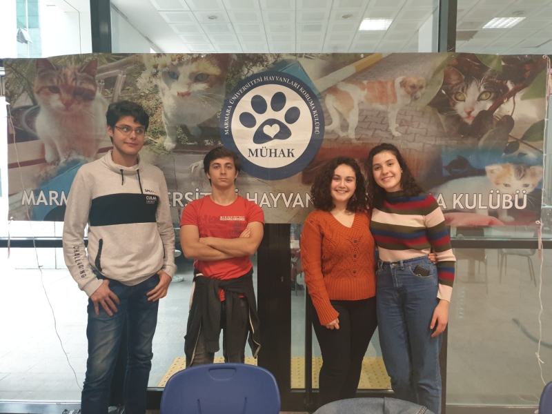 Sorularınızı Bekliyoruz