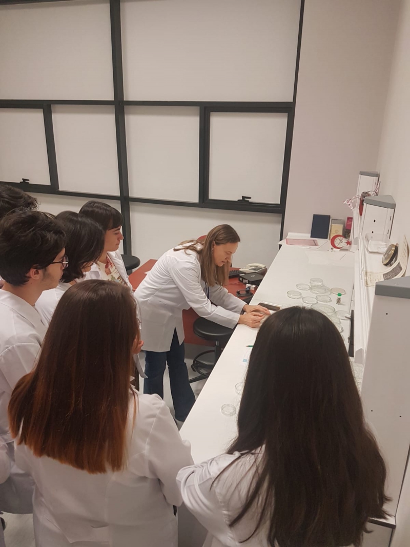 Marmara Üniversitesi Türk Tıp Öğrencileri Birliği Kulübü-Elektron Mikroskop Workshop Marmara Üniversitesi Türk Tıp Öğrencileri Birliği Kulübü