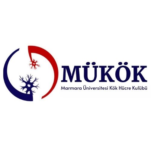 Marmara Üniversitesi Kök Hücre Kulübü (MÜKÖK)